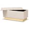 Baxton Studio Powell Glam and Luxe Beige Velvet Fabric and Gold PU Leather Storage Ottoman 175-11237-Zoro - alternate 4
